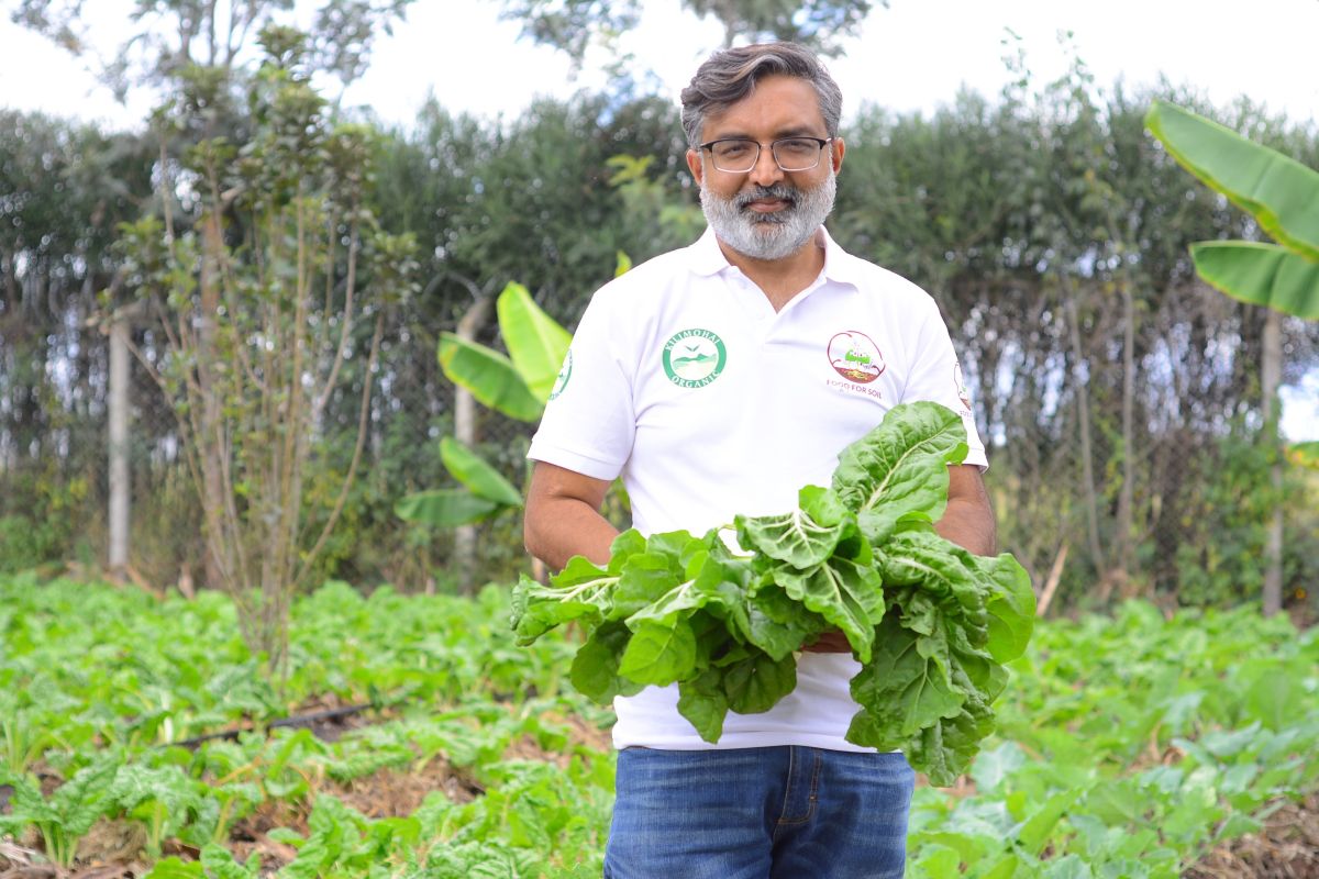 Kumar Sheth with his organic greens.jpg